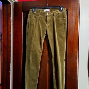 CAbi skinny cord-6 NWOT